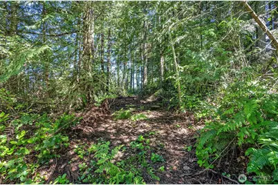200 Peter Hagen Road NW, Seabeck, WA 98380 - Photo 29