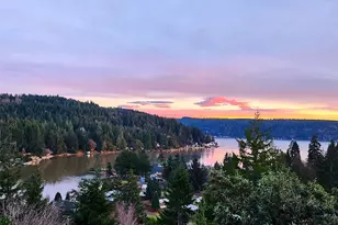 151 NE Myrlis Joy Dr, Tahuya, WA 98588 - Photo 37