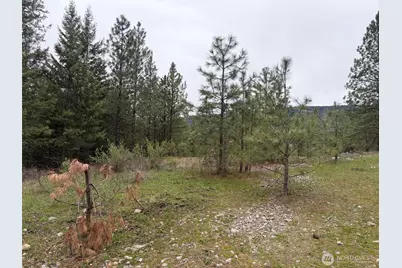 111 Tbd Fish Hatchery Road, Republic, WA 99166 - Photo 9