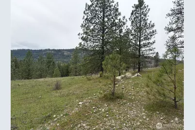 111 Tbd Fish Hatchery Road, Republic, WA 99166 - Photo 11