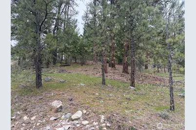 111 Tbd Fish Hatchery Road, Republic, WA 99166 - Photo 13