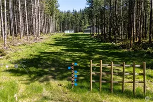 14640 164th Ln SE, Rainier, WA 98576 - Photo 33
