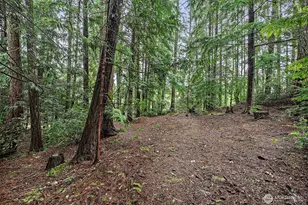 1795 SE Auburn St, Port Orchard, WA 98367 - Photo 29