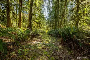 28946 S Skagit Hwy, Sedro Woolley, WA 98284 - Photo 35