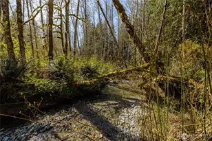 28946 S Skagit Hwy, Sedro Woolley, WA 98284 - Photo 37