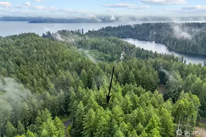 11025 Admiralty Way, Anderson Island, WA 98303 - Photo 1