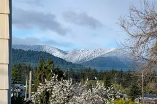 1117 E 4th St, Port Angeles, WA 98362 - Photo 39