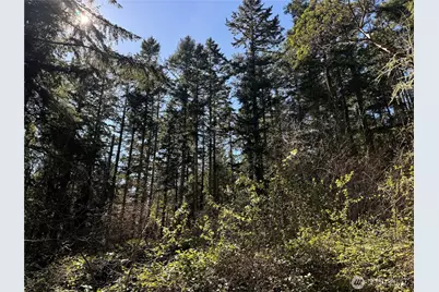 0 25th Street, Port Townsend, WA 98368 - Photo 1