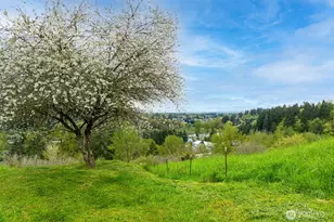 351 Butte Hill Rd, Woodland, WA 98674 - Photo 35