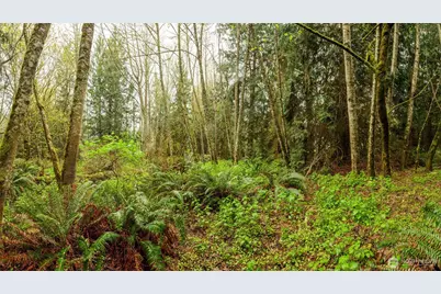 313 Weston Parkway, Sequim, WA 98382 - Photo 19