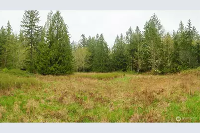 313 Weston Parkway, Sequim, WA 98382 - Photo 9