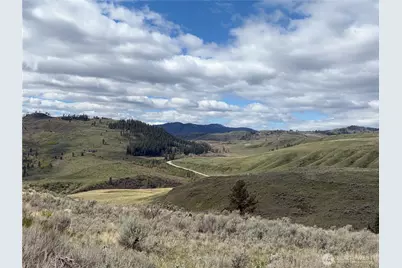 0 Lot 4 Aspen Springs, Tonasket, WA 98855 - Photo 33