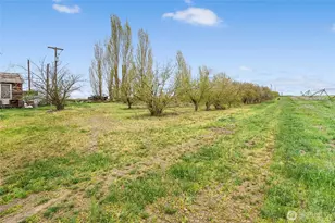 8959 Rd E NW, Ephrata, WA 98823 - Photo 35