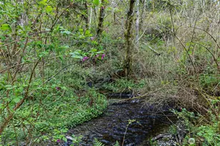 13101 Olalla Valley Rd SE, Olalla, WA 98359 - Photo 29