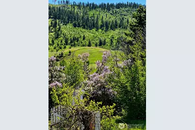492 Pine Creek Road, Tonasket, WA 98855 - Photo 27