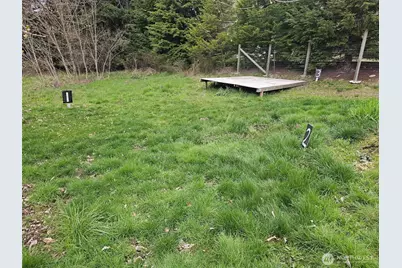 113 Leroy Road, Randle, WA 98377 - Photo 39
