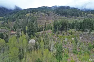 113 Leroy Rd, Randle, WA 98377 - Photo 9