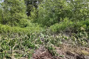0 S Lake Campbell Rd, Anacortes, WA 98221 - Photo 1