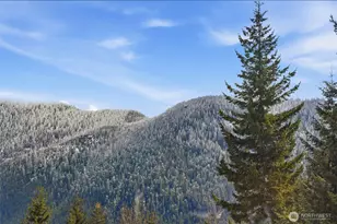 21 Arlberg Pl, Snoqualmie Pass, WA 98068 - Photo 31