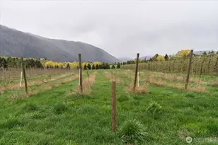 293 Barkley Rd, Manson, WA 98831 - Photo 29