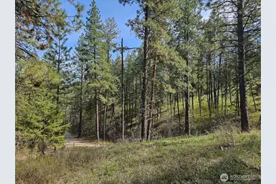 9 Whitebark Lane, Winthrop, WA 98862 - Photo 29
