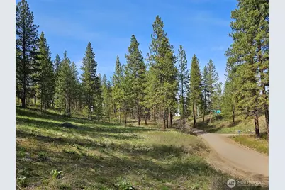 9 Whitebark Lane, Winthrop, WA 98862 - Photo 31
