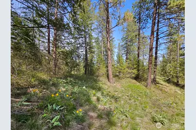9 Whitebark Lane, Winthrop, WA 98862 - Photo 23