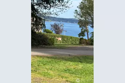 14310 90th Street Ct NW, Gig Harbor, WA 98329 - Photo 17