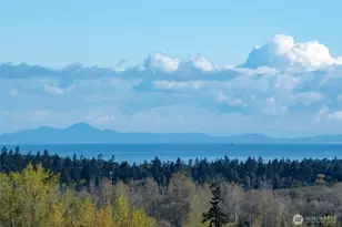 31 Topaz Way, Sequim, WA 98382 - Photo 37