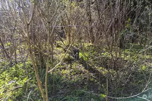 999 Night Hawk Ln, Clallam Bay, WA 98326 - Photo 25
