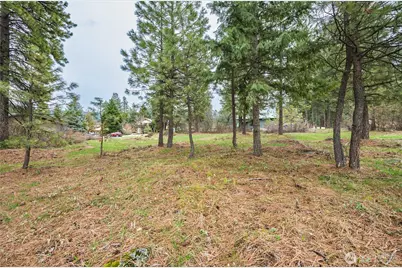 0 Alpensee Strasse, Leavenworth, WA 98826 - Photo 11