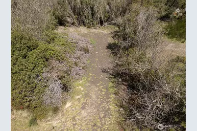 148 Marine View Drive SE, Ocean Shores, WA 98569 - Photo 5