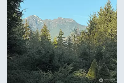 123 Headwaters Lane, Port Angeles, WA 98362 - Photo 35