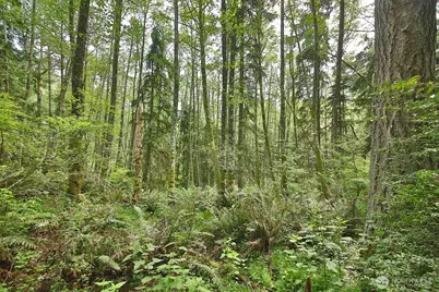 0 Xxx Goss Lake Road, Langley, WA 98260 - Photo 5