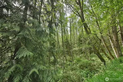 0 Xxx Goss Lake Road, Langley, WA 98260 - Photo 13