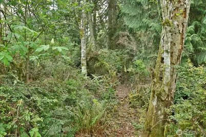 0 Xxx Goss Lake Road, Langley, WA 98260 - Photo 1