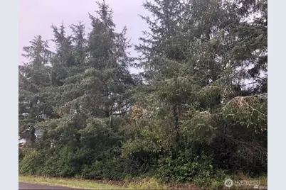 649 Weatherwax Loop NE, Ocean Shores, WA 98569 - Photo 1