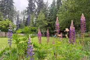 7445 Fair Oaks Rd SE, Olympia, WA 98513 - Photo 33
