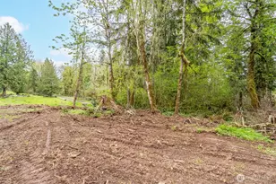 124 Raydel Dr, Mossyrock, WA 98564 - Photo 31