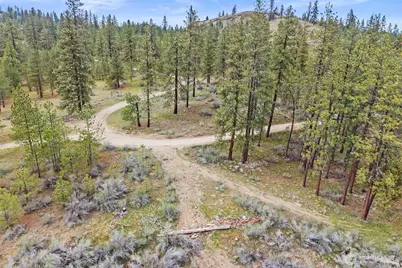 36480 Western Pines Drive N, Davenport, WA 99122 - Photo 9