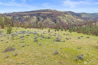 36480 Western Pines Drive N, Davenport, WA 99122 - Photo 27