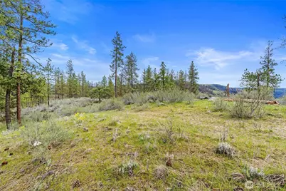 36480 Western Pines Drive N, Davenport, WA 99122 - Photo 15
