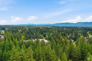 26057 SE 38th St, Sammamish, WA 98029 - Photo 39