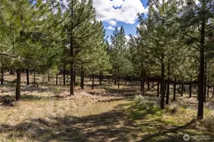 24 Lookout Trail, Riverside, WA 98849 - Photo 33