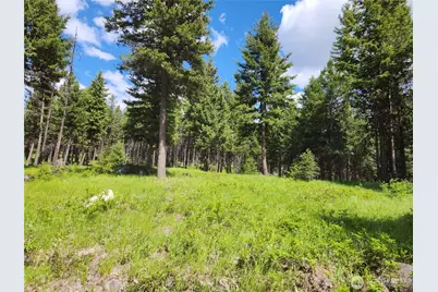 363 Sheridan Road, Republic, WA 99166 - Photo 37