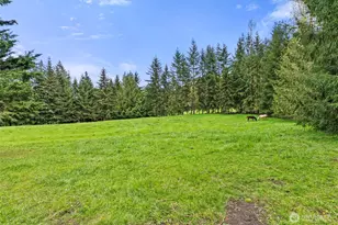 213 Bowen Rd, Mossyrock, WA 98564 - Photo 35