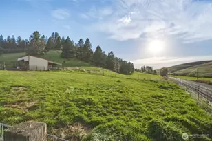 938 Patit Rd, Dayton, WA 99328 - Photo 27