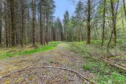 14439 Kayson Lane SE, Tenino, WA 98589 - Photo 13