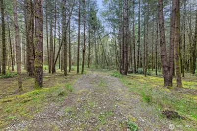 14439 Kayson Lane SE, Tenino, WA 98589 - Photo 11
