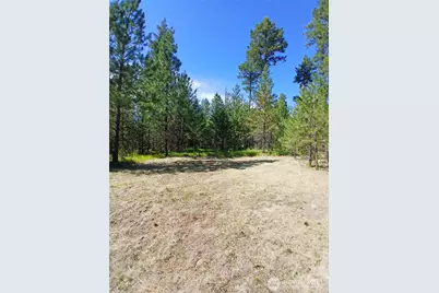 38 Broser Way W, Tonasket, WA 98855 - Photo 37